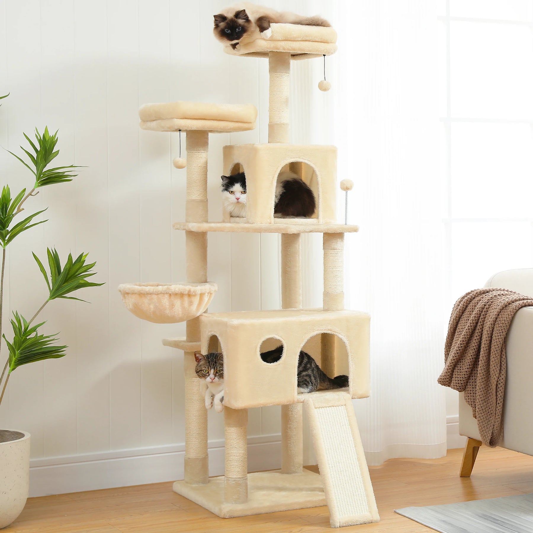 Cat Tree Condo Scratcher