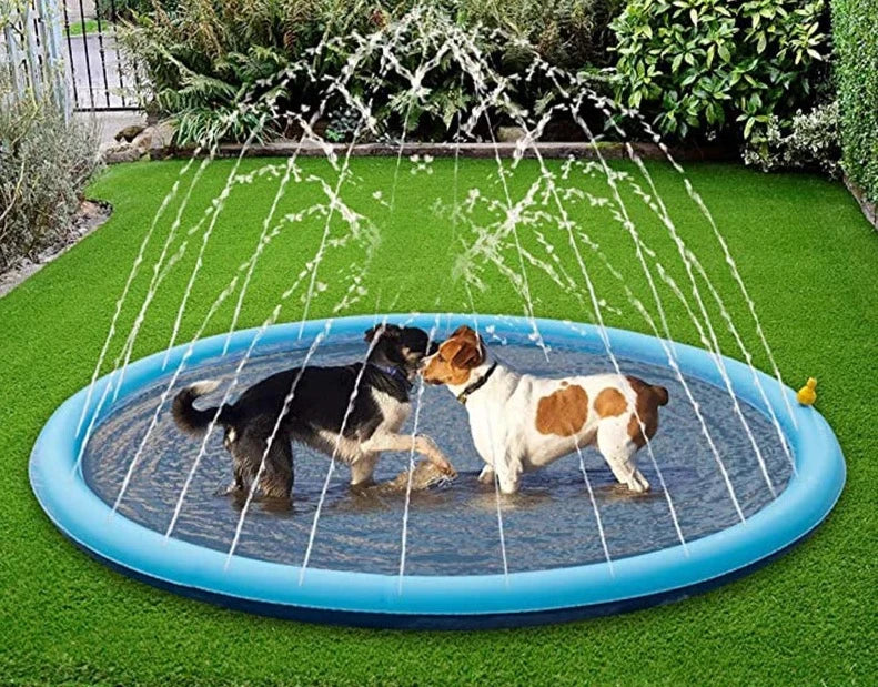 Pet Sprinkler Pool