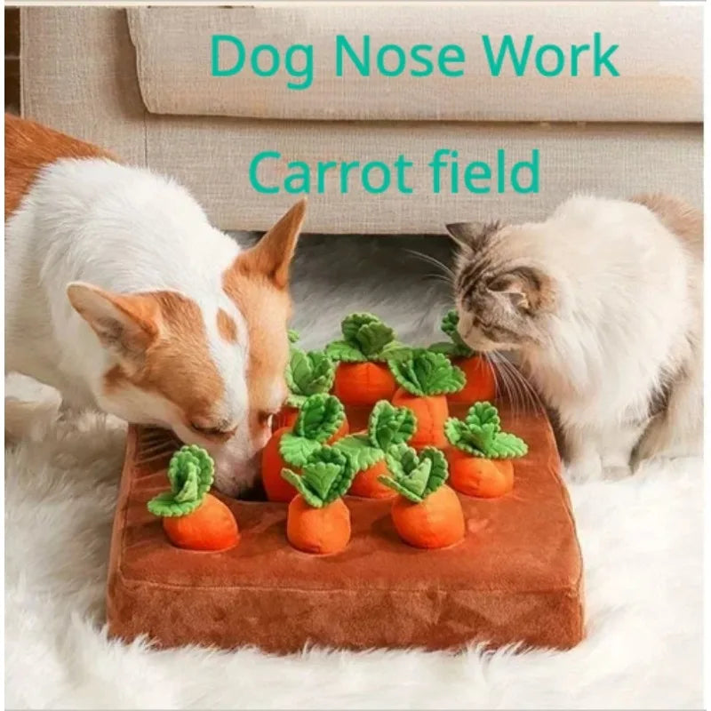 Carrot Farm