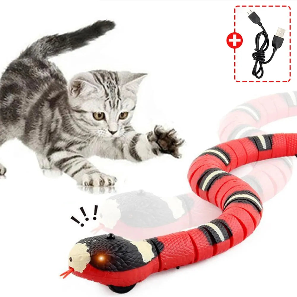 Interactive Snake Toy