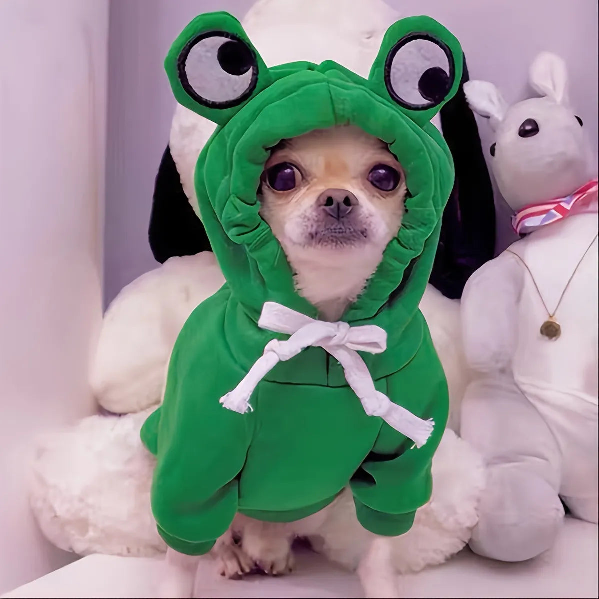 Froggie Pet Hoodie