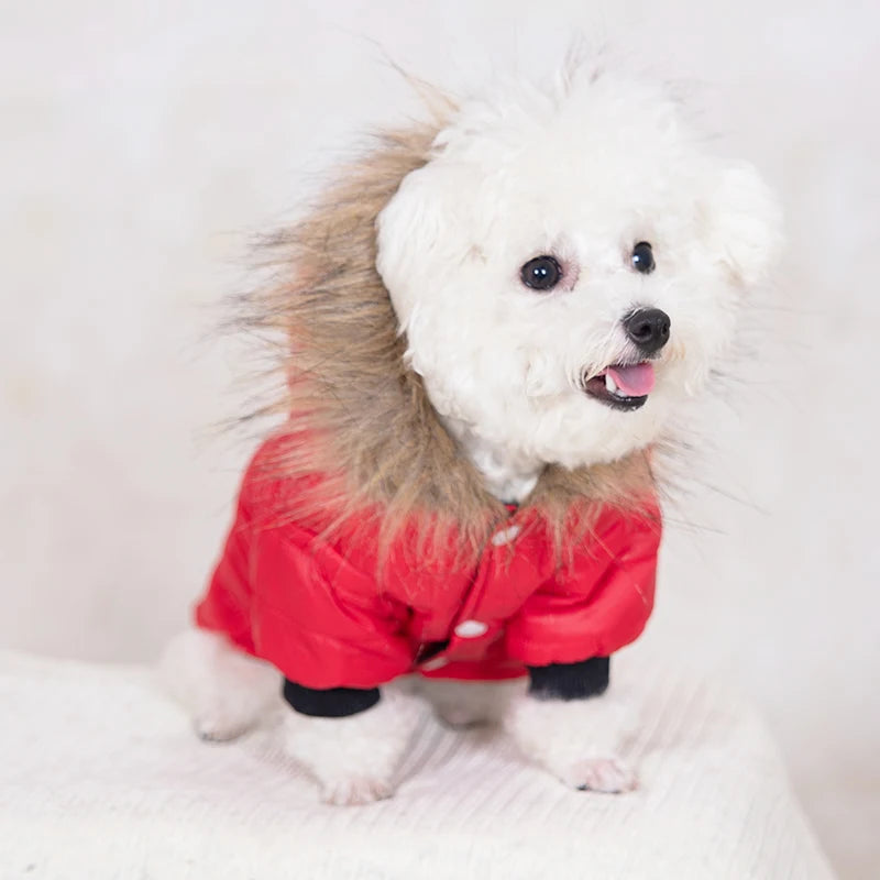 Dog Goose Jacket