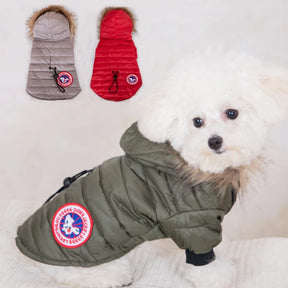 Dog Goose Jacket