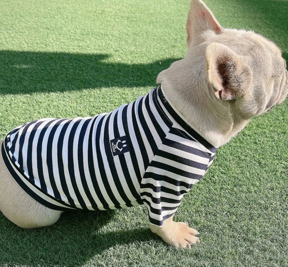 Hooman and Me Stripe Top