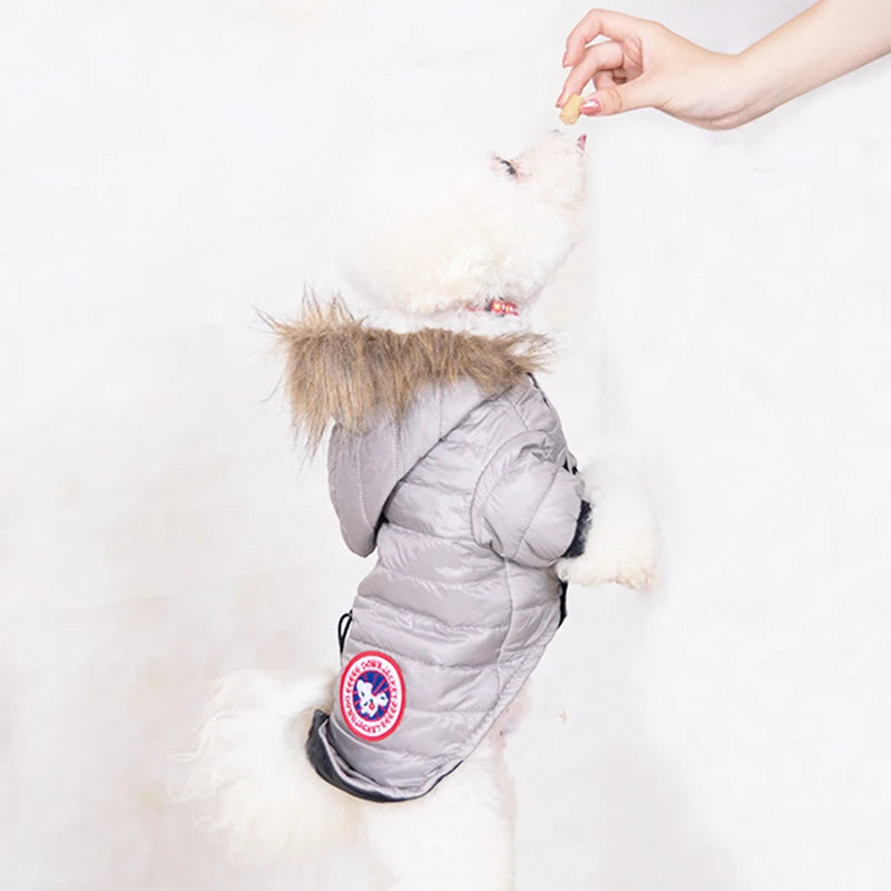 Dog Goose Jacket