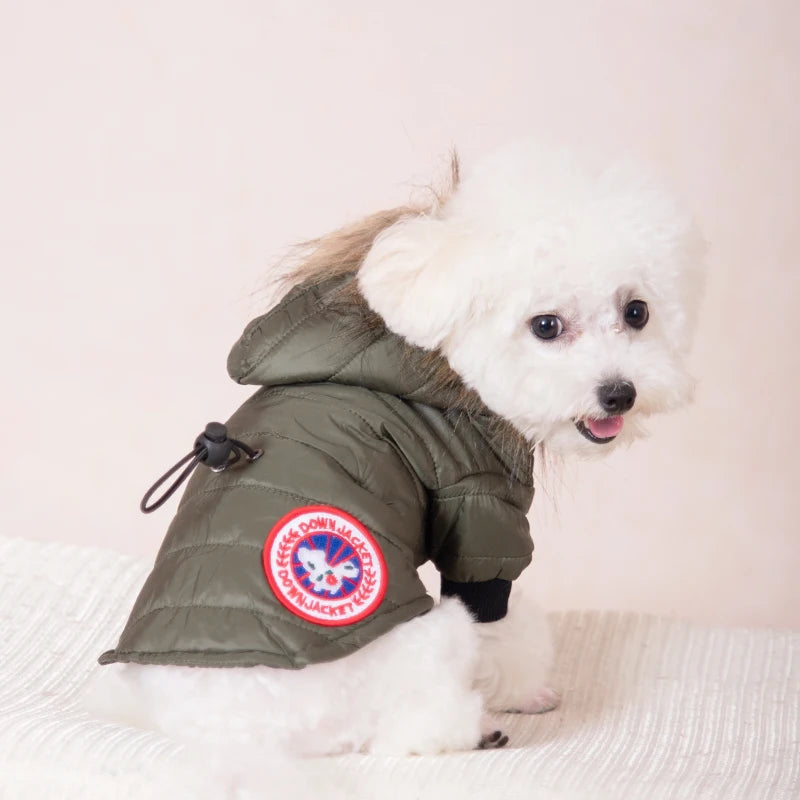 Dog Goose Jacket